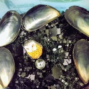 Meet your Posher, Kerney